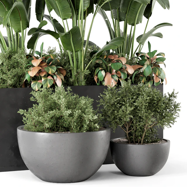 Outdoor Garden set Bush and Tree - Garden Set 1144 — Descargar