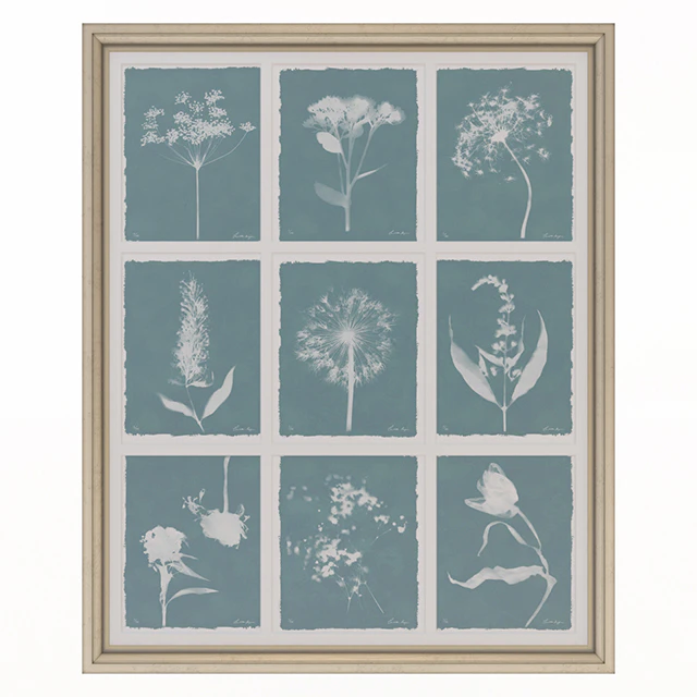 Charlotte Morgan Wild Meadow Flowers Nine Piece — Descargar