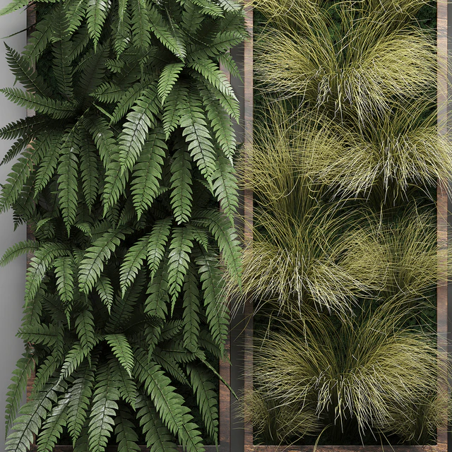 Vertical garden 29. Фитостена, картина, трава, папоротник, монстера, настенный декор, фитомодуль, вертикальный сад — Скачать