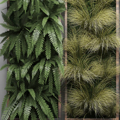 Vertical garden 29. Фитостена, картина, трава, папоротник, монстера, настенный декор, фитомодуль, вертикальный сад — Вид 2