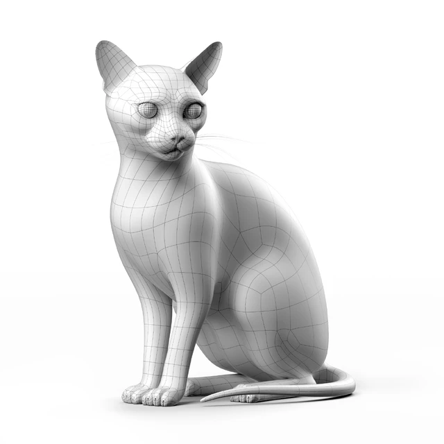 CAT 3 — Descargar