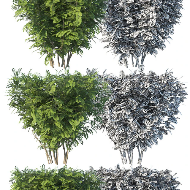 Set of 2 bushes — Descargar