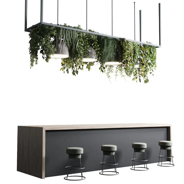 Coffee shop reception, Restaurant counter by hanging plant - 04 — Descargar