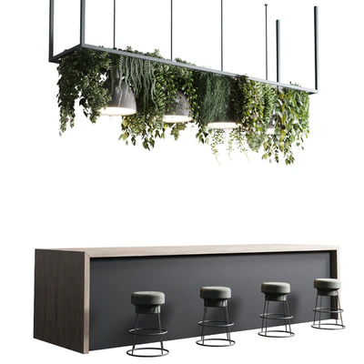 Coffee shop reception, Restaurant counter by hanging plant - 04 — Ver 1
