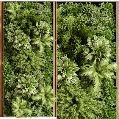 Wooden planks and vertical garden 08 — Вид 2