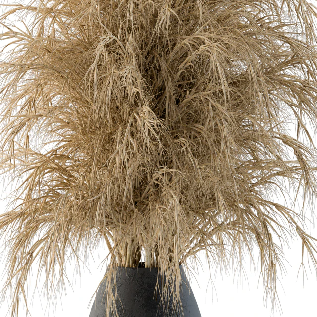 Dry Plants — Скачать