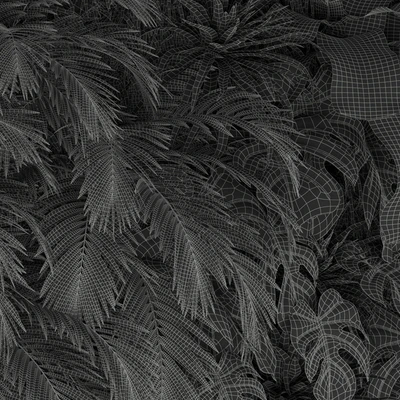 Plants collection 200 — Вид 2