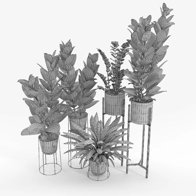 Set Ficus — Скачать