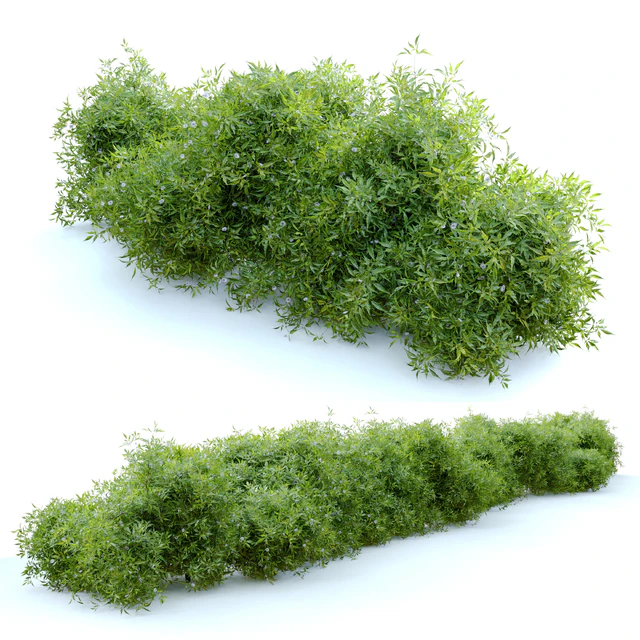 Bush 4 — Скачать