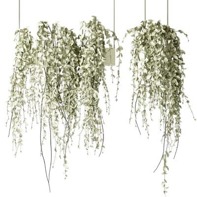 Bouquet Collection 08 - Decorative Hanging Plants — Ver 2
