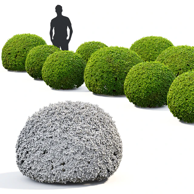 Buxus — Скачать
