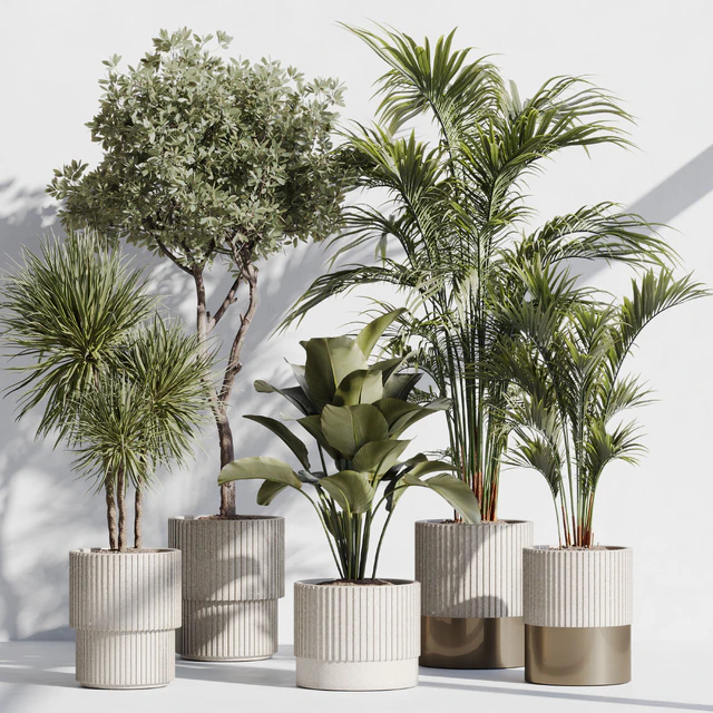 indoor plant set 78 — Descargar