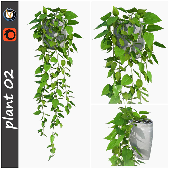 plant 02 — Descargar