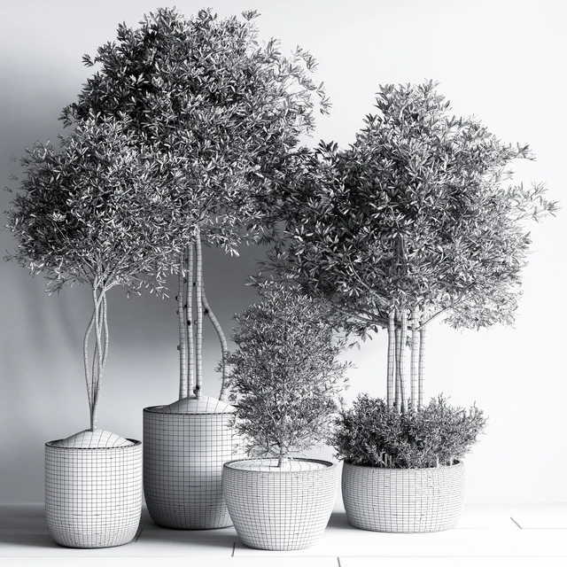 Indoor Plant Set12 — Скачать