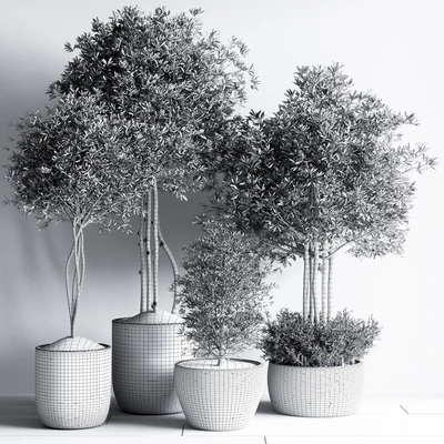 Indoor Plant Set12 — Вид 2