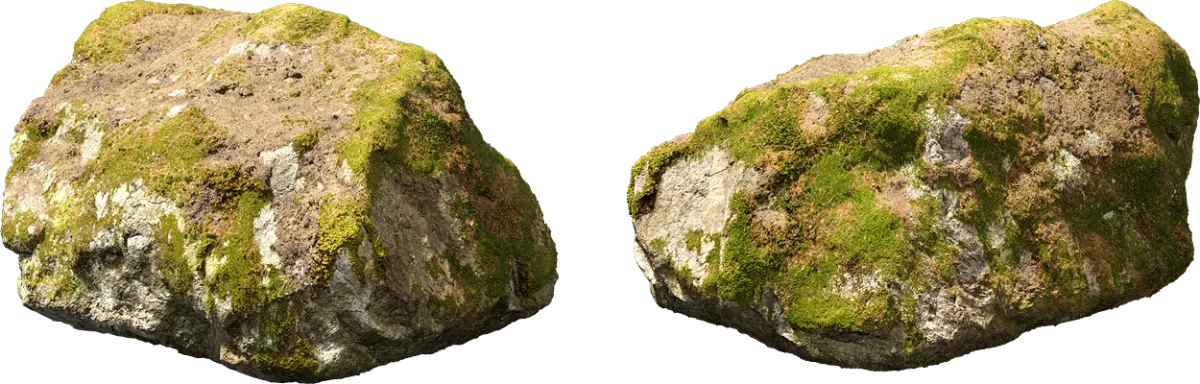 nordic forest rock moss large 001 — Descargar