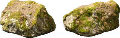 nordic forest rock moss large 001 — Descargar