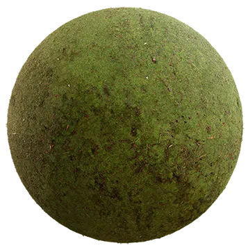 mossy forest floor 004 — Descargar