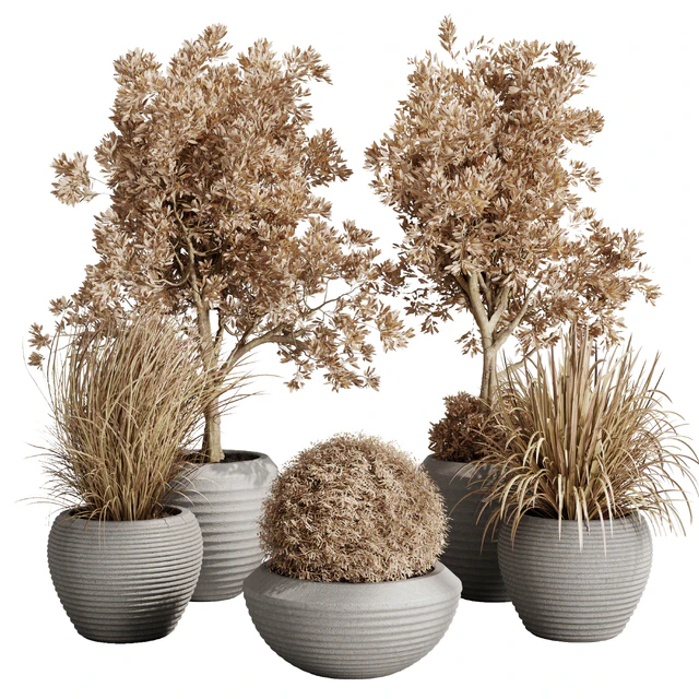 Dry Grass and Trees in a Concrete Pot - Indoor plant autumn set 570 — Скачать