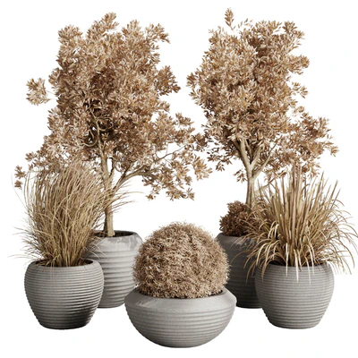Dry Grass and Trees in a Concrete Pot - Indoor plant autumn set 570 — Вид 1