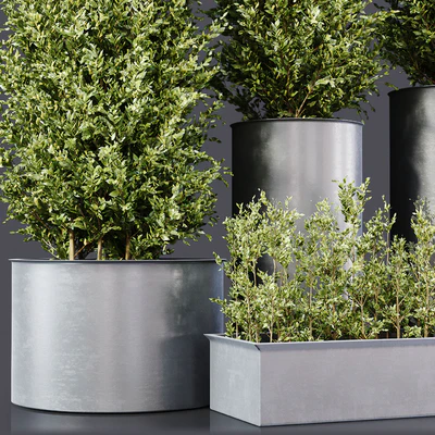Outdoor Plants 01 — Вид 2