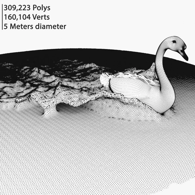Goose on water — Descargar