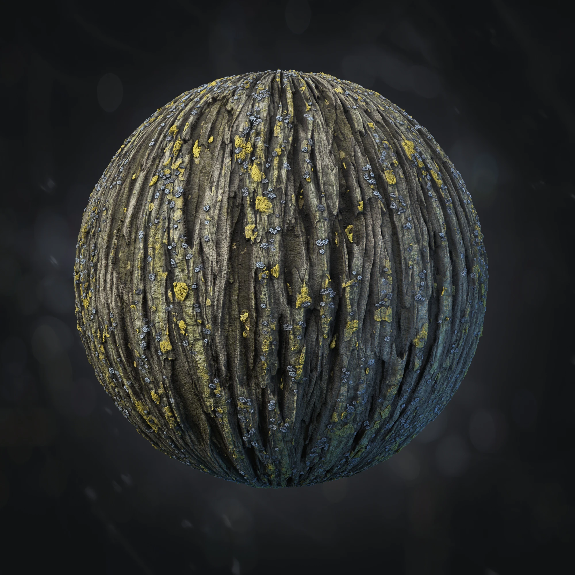 ulmus bark 014 — Скачать
