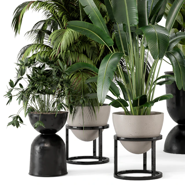 Indoor Plants in rusty Concrete Pot on Metal Shelf - Set 242 — Descargar
