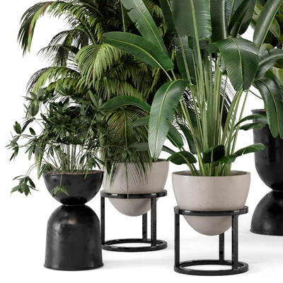 Indoor Plants in rusty Concrete Pot on Metal Shelf - Set 242 — Ver 3