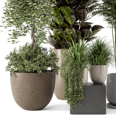 Indoor Plants in rusty Concrete Pot - Set 229 — Ver 2