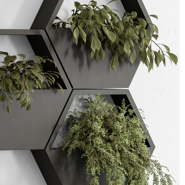 indoor Plant 536 - Hanging Plants — Descargar