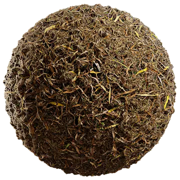 dried leaves and grass 004 — Скачать