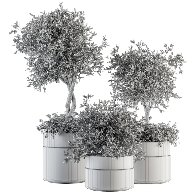 indoor Plant Set 193 - Tree in pot — Скачать