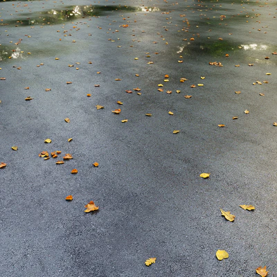 Wet asphalt with leaves. Autumn. Editable — Ver 1