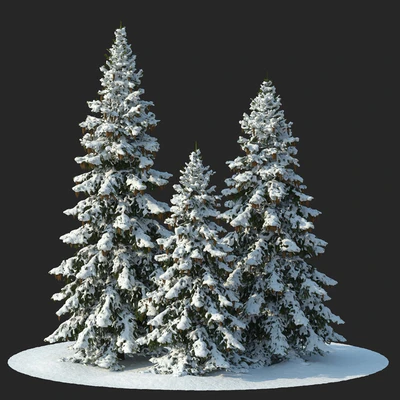 Winter spruces (Winter spruces) — Ver 1