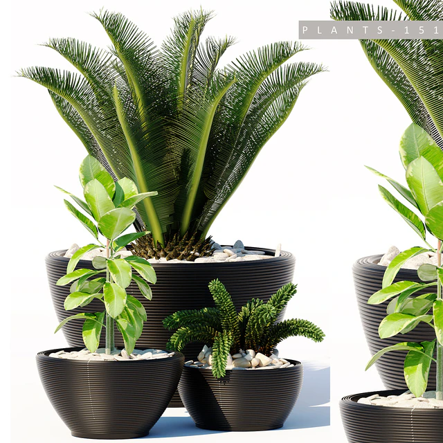 PLANTS 151 — Скачать
