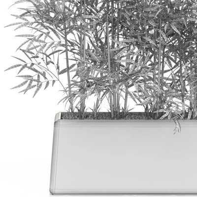 Plants collection 615 — Вид 3