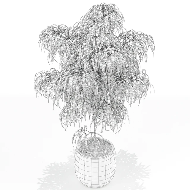 Plants collection 154 — Download