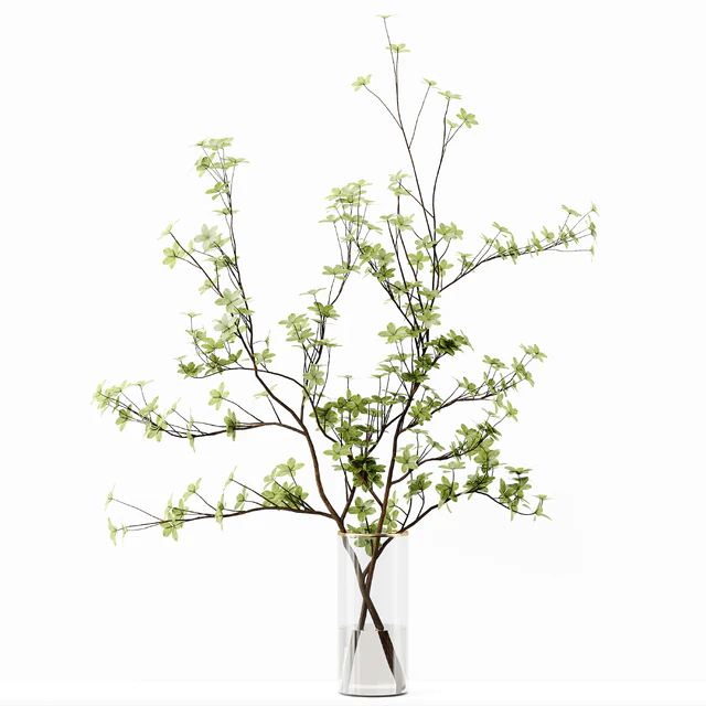 Collection Indoor Plants 037 — Descargar