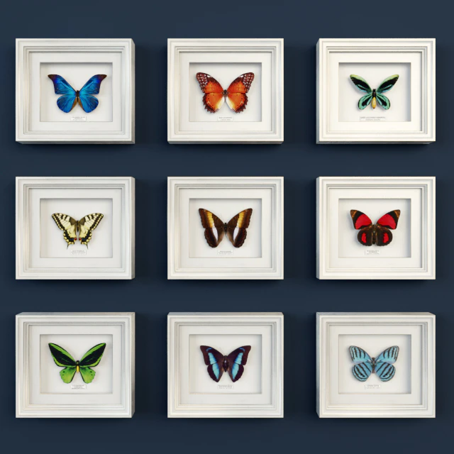 Decorative set of butterflies — Descargar