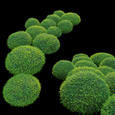 Boxwood 02 — View 2