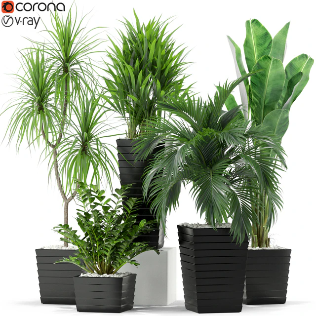 Plants collection 371 — Descargar
