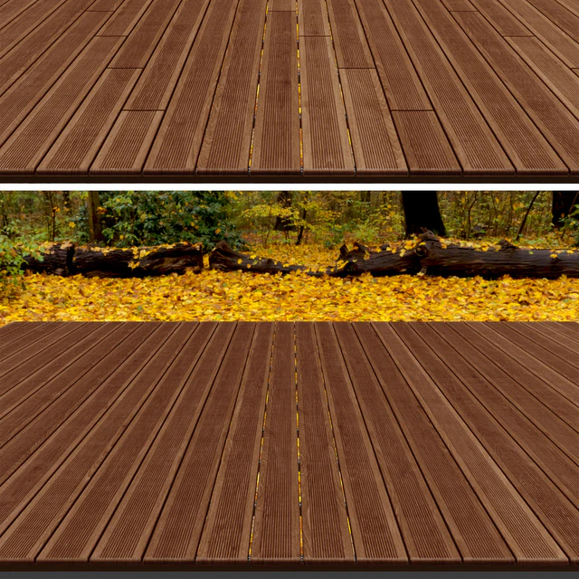 Decking on logs, 4 species, coffee — Descargar