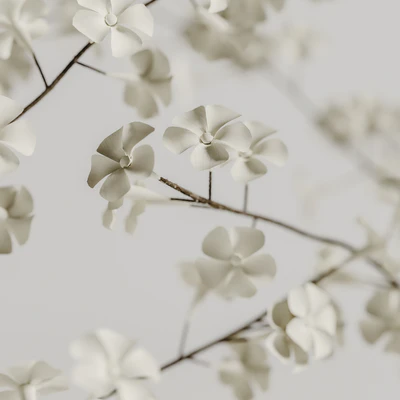 plants bouquet vase 43 — Ver 2