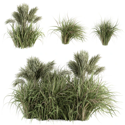 Pampas Bush - Bush Set 21 — Ver 2