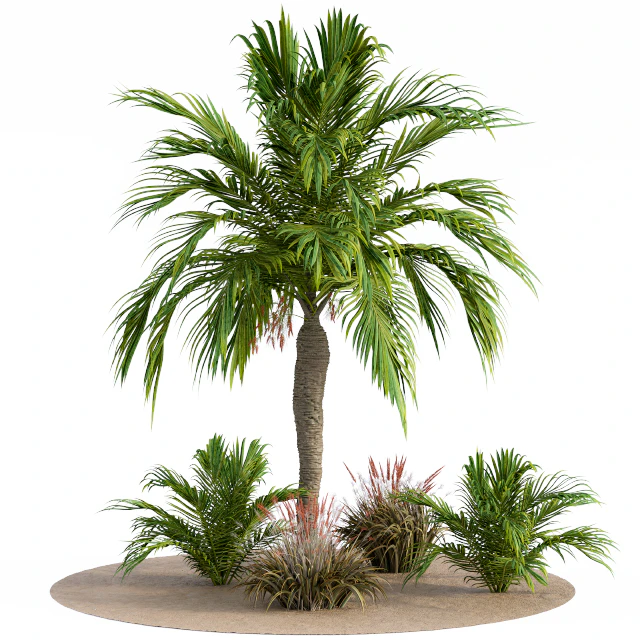 Garden Set Californication — Скачать