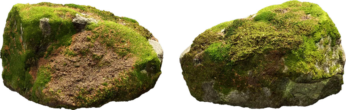 nordic forest rock large 002 — Descargar