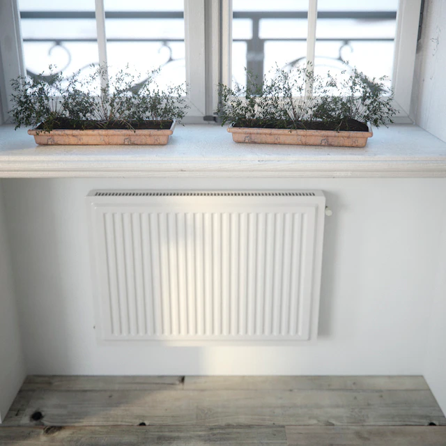 Set classical windows with decor — Descargar