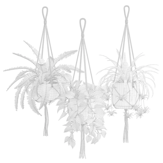 Hanging Plants 01 — Скачать