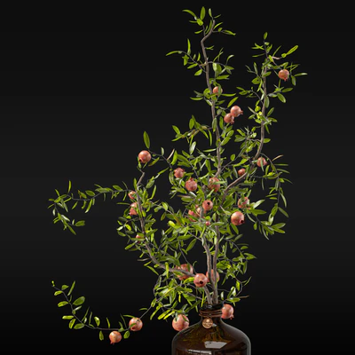 Pomegranate branches in pharmacy bottles — Ver 2